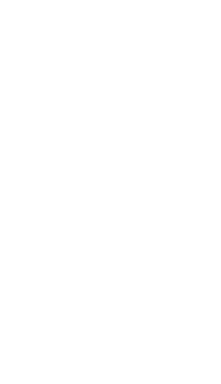مدير مسائلة